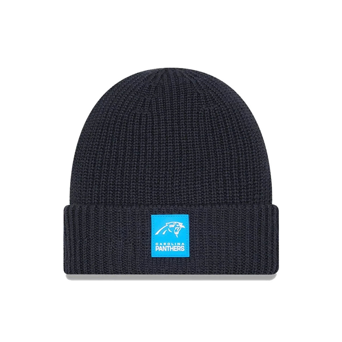 Carolina Panthers 2025 Sideline Cold Weather Knit