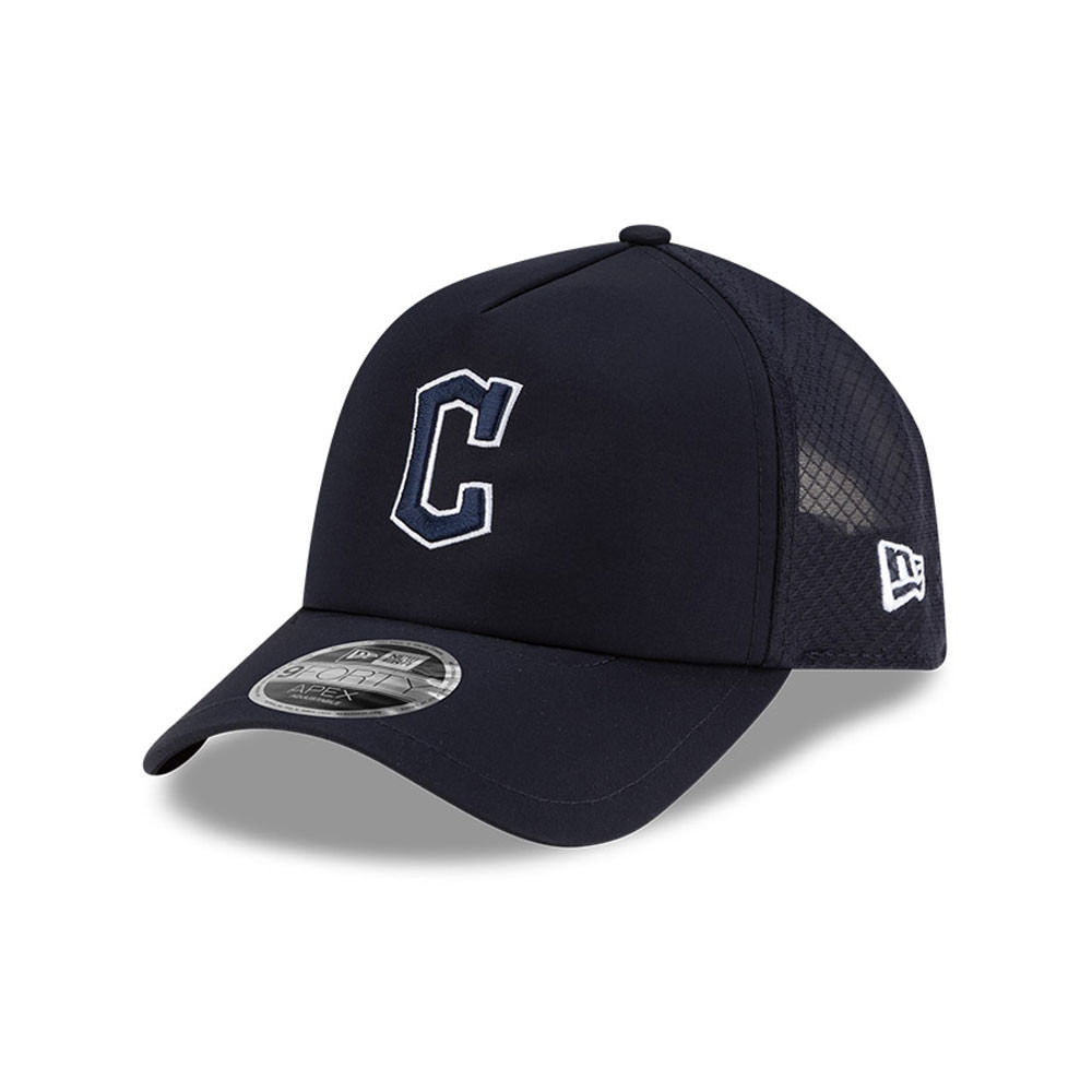 Cleveland Guardians Batting Practice APEX 9Forty Adjustable Cap