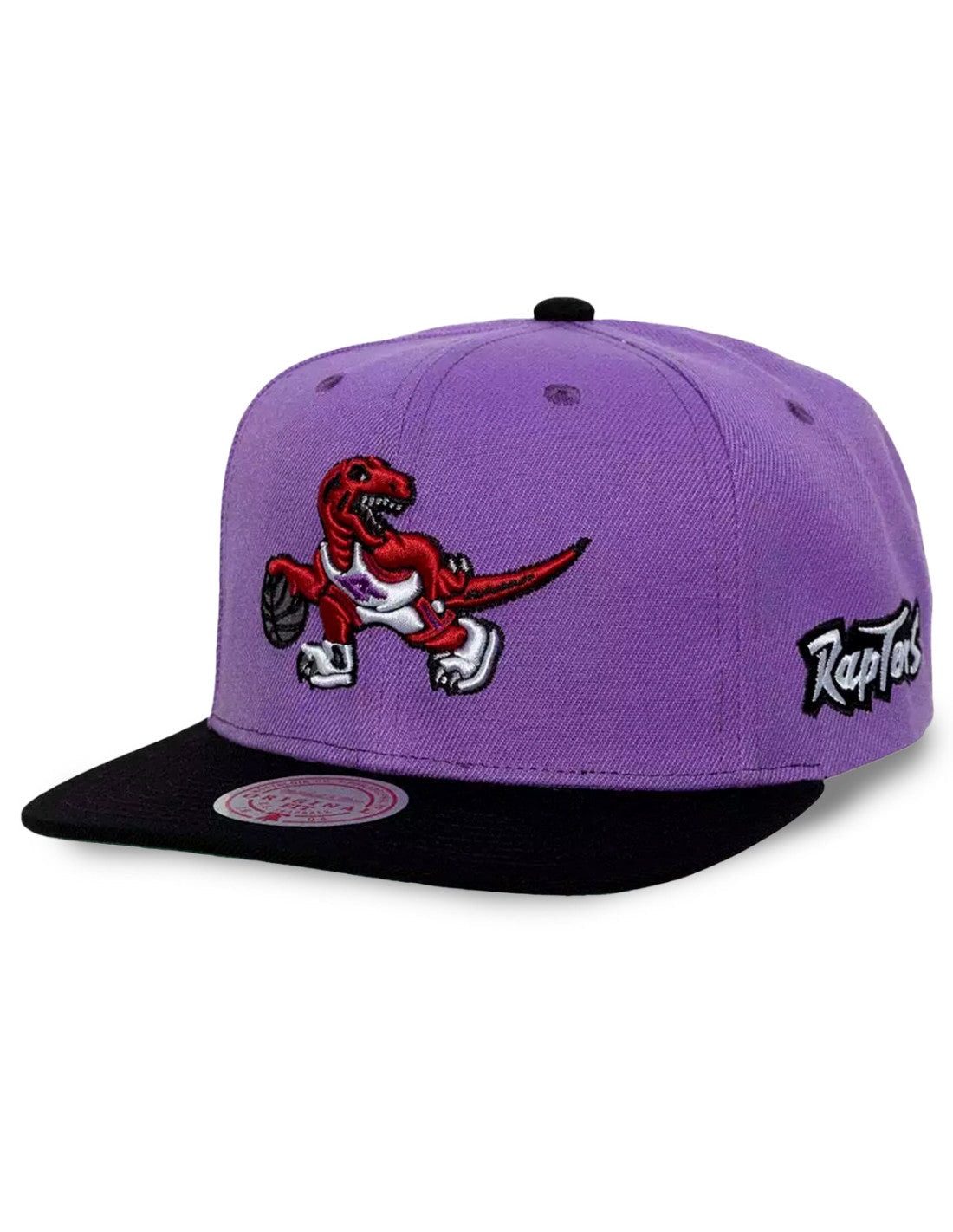 Toronto Raptors Team Origins Snapback